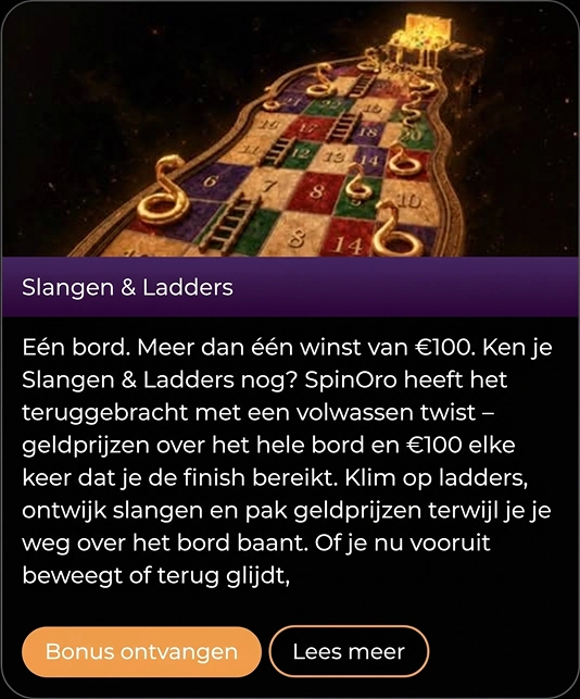 Jeu Slangen & Ladders avec serpents et échelles, prix de 100€